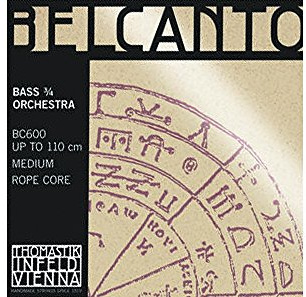 Thomastik-Infeld Belcanto Orchestra Double Bass Single E-String - 3/4 Scale - No. BC64