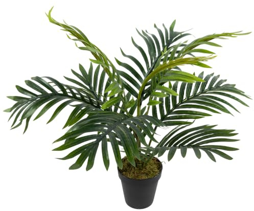 Künstliche Arekapalme / Zimmerpalme 50cm im Topf LA Kunstpalme Dekopalme | Kunstpflanzen künstliche Palme Pflanzen Kunstpalmen Kunstbaum, Home Deko künstliche Pflanze, Deco Dekoration Palm Zimmerdeko