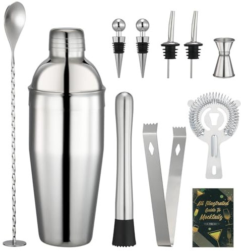 Set da cocktail shaker 750 ml, 10 accessori per cocktail shaker in acciaio inox, barista professionale, set per principianti e professionisti, regali per famiglie, bar, feste, regali per uomini