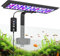 AQQA LED Aquarium Light 24W,24/7 Mode Clip-on Fish Tank Light, DIY Mode Full Spectrum Aquarium Plant Lights,Adjustable Timer/Brightness with Memory Function,IP68 Waterproof for 60-80cm Fish Tank