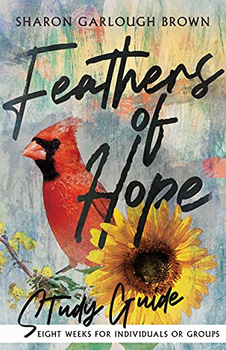 Feathers of Hope Study Guide: Eight Weeks for Individuals or Groups (Shades of Light)