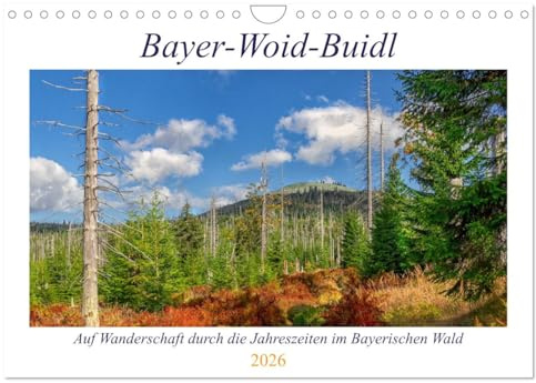Bayer-Woid-Buidl (Wandkalender 2026 DIN A4 quer), CALVENDO Monatskalender: Auf Wanderschaft durch die Jahreszeiten im Bayerischen Wald (CALVENDO Natur)