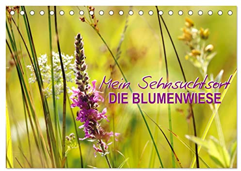 Mein Sehnsuchtsort, die Blumenwiese (Tischkalender 2026 DIN A5 quer), CALVENDO Monatskalender: Zauberhafte Naturfotografie (CALVENDO Natur)