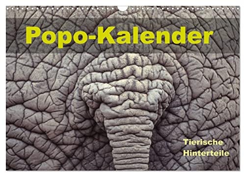 Popo-Kalender (Wandkalender 2026 DIN A3 quer), CALVENDO Monatskalender