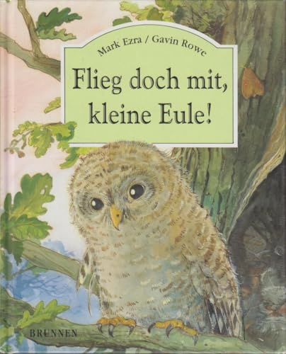 Flieg doch mit, kleine Eule!