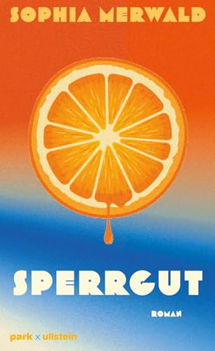 Sperrgut: Roman | Das aufregendste Debüt des Jahres: Eine Geschichte über eine Utopie am Rand der Gesellschaft