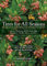 Trees for All Seasons - Broadleaved Evergreens for Temperate Climates [Hb]