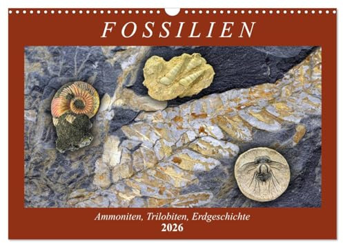 Fossilien - Ammoniten, Trilobiten, Erdgeschichte (Wandkalender 2026 DIN A3 quer), CALVENDO Monatskalender: Versteinerte Tiere und Pflanzen (CALVENDO Wissenschaft)