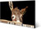 banjado Magnettafel schwarz 78 x 37cm / Magnetwand Metall/Magnetpinnwand als Memoboard/Pinnwand Magnettafel Küche, Büro, Kinderzimmer inkl. 4 Magnete & Montageset - Motiv Esel
