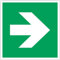 GLOBAL CARTELLO SEGNALETICO QUADRATO - SIMBOLO FRECCIA EMERGENZA VERDE - Adesivo Extra Resistente, Pannello in Forex, Pannello In Alluminio (30 cm Lato, Alluminio)