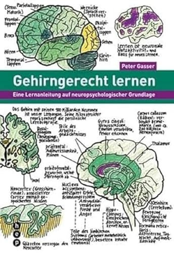 Gehirngerecht lernen: Eine Lernanleitung auf neuropsychologischer Grundlage