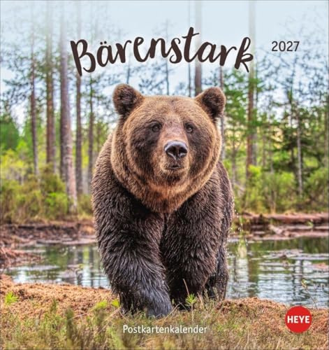 Bärenstark Postkartenkalender 2027: Knuffige Bärenfotos in einem kleinen Kalender zum Aufstellen und Aufhängen. Der knuddelige Tierkalender im Format 16 x 17 cm