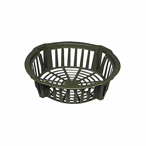 ROMULUS 917319 Blumenzwiebelpflanzschale 31 cm rund im 3er-Set