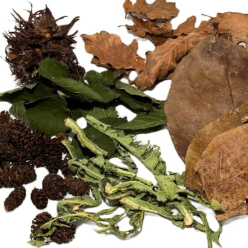 Nano Starterset Naturprodukte 6-teilig - Garnelen- Wasserschnecken- und Krebsfutter