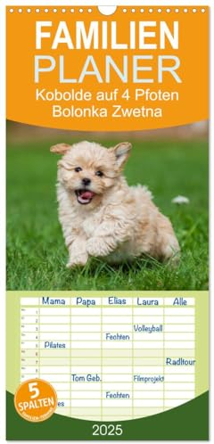 Familienplaner 2025 - Kobolde auf 4 Pfoten - Bolonka Zwetna mit 5 Spalten (Wandkalender, 21 cm x 45 cm), CALVENDO: Lassen Sie sich verzaubern von einer entzückenden Hundefamilie (CALVENDO Tiere)