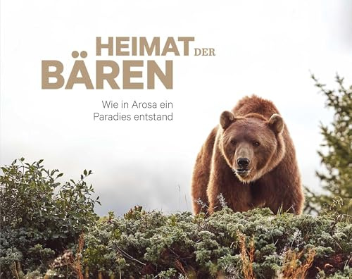 Heimat der Bären: Wie in Arosa ein Paradies entstand