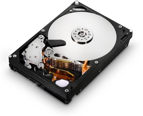 HGST 0F14685 SAS 15 k Internal Hard Drive 200 GB-Grey
