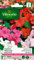 Vilmorin 5320142 Impatiens hybride variée Multicolore 9 x 0.5 x 16 cm