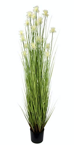 Flair Flower Protea im Grasbusch im Topf Nadelkissen Busch Ufergras Dekogras Gras Kunstgras künstliche Pflanzen Kunstpflanze Grünpflanze Solitärgras Dekopflanze, Weiß, 120 cm, 020907W