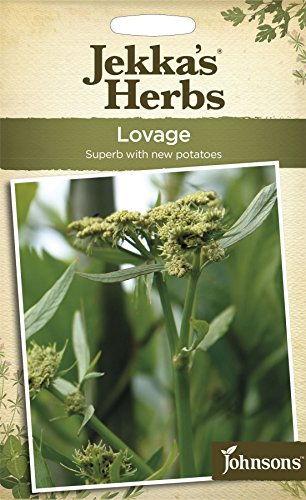 Johnsons - Jekka's Herbs - Pictorial Pack - Lovage - 120 Seeds