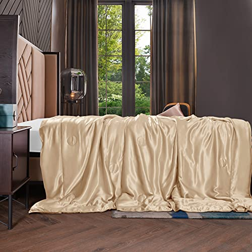 THXSILK Seide Kuscheldecke Sofa Decken - Seidendecke für Couch weich und warm, Wohndecke flauschig als Sofadecke Couchdecke - Innen und außen 100% Seide - Champagner, 135x180 cm