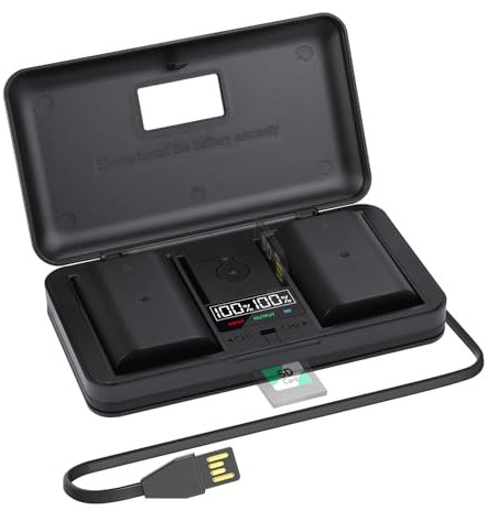 2 pcs DMW-BLF19E/DMW-BLF19 Replacement Battery with LCD Charger Compatible for Panasonic Lumix DMC-GH3,DMC-GH3GK,DMC-GH3H,DMC-GH3HGK,DMC-GH3K Body,DMC-GH4H,DMC-GH4, DMW-BLF19PP camera