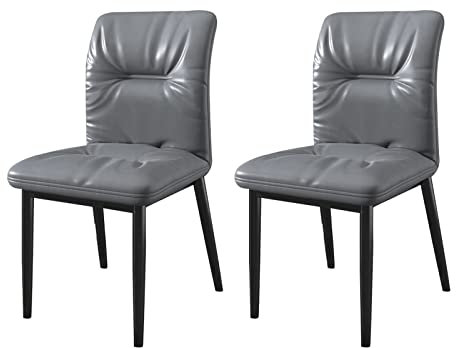 LGESR Moderner Esszimmerstuhl (2PCS) Esszimmerstuhl, Italienischer einfacher Freizeitstuhl, Stuhl mit schwarzem Eisenstahlrahmen, Heimstuhl mit weicher Rückenlehne (Color : C)