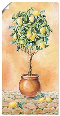 ARTLAND Wanddeko Poster & Kunstdrucke Wandposter 50x100 cm Botanik Pflanzen Topfpflanze Malerei Creme Zitronenbaum I T5HE