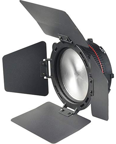 NanGuang Fresnel-Vorsatz mit Vierklappentor, für P100WII (3670)