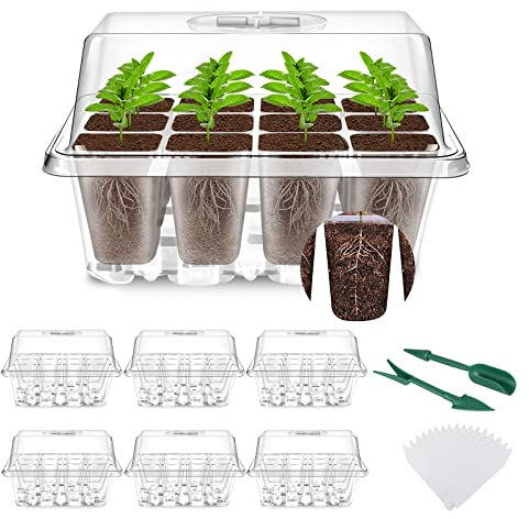 YAUNGEL Mini Serre pour Plantes, 6 Pièces 72 Cellules Intérieure Plateau Semis Bac à semis Pépinière Boîte de Culture avec Couvercle et Ventilation Durables, Transparent