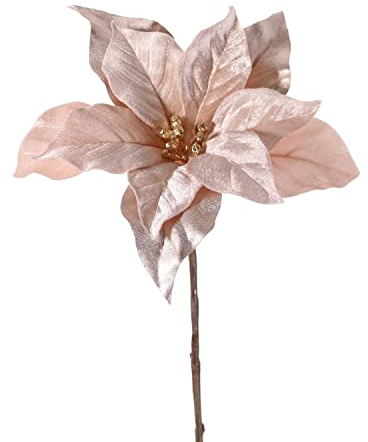 artplants.de Kunst Weihnachtsstern Sheba, samt, beige-rosa, 55cm, Ø23cm - Poinsettia Kunstpflanze