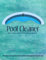 Pool Cleaner: Green Cover | Client Data + Financial Tracking Logbook | Professional Cleaner & Maintenance Log Book