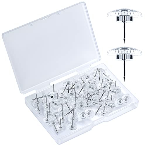 LUTER 100 Stück Reißnägel Deko, Kunststoff Durchsichtig Pinnwandnadeln mit Stahlspitzen für Korktafel Wand Pinnwand (Transparent)