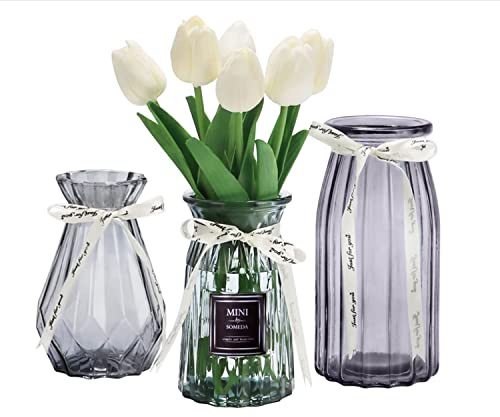 SOMEDA® Vasen Set 3 Stück/Verschiedene Größen und Formen/Moderne Blumenvasen/transparent, rot oder grau/Deko Wohnzimmertisch (3X Grau)