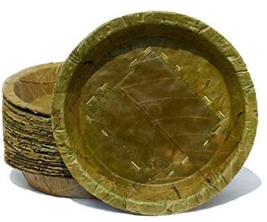 TAPARI Large Disposable Leaf Plates - 20 Pack - 23cm Diameter - 800ml - Natural & Eco-Friendly - 100% Compostable & Biodegradable - for Hot & Cold Food - Sal Leaf