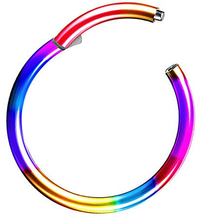 Piercing Ring Segmentring Clicker Scharnier Septum Tragus Helix Ohr Nase Lippe Nasenring Nasenpiercing Lippenpiercing Dünn Rainbow 1,2mm x 10mm