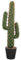 VOSAREA Faux Cactus Plante en Pot Bonsaï Décor Cactus Décorations Cactus Figurines Faux Gros Cactus Plantes Succulentes Décoratives en Pot Faux Plante Fausse Plante Ornements en Plastique