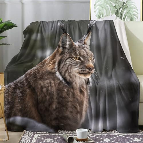 Kuscheldecke Flauschig Luchs, Decke Fleecedecke 130x160 Tiere, Flanell Sofadecke Blanket Kleine, Wohndecke Schlafdecke Winter Warm Weich, Deko Decken für Couch Bed