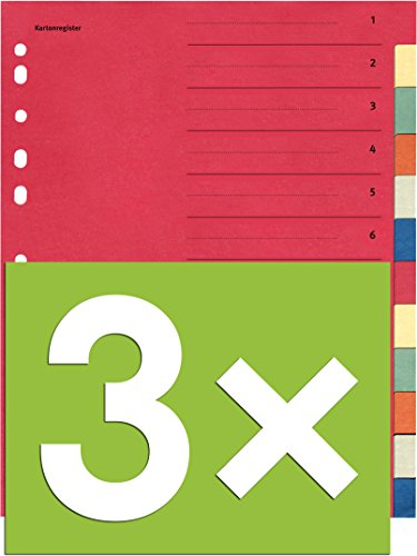 Falken Karton-Register für DIN A4 24 x 29,7 cm volle Höhe mit Organisationsdruck (12-teilig | 3er Pack)