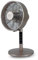 VORTICE VENTILATORE OSCILLANTE da tavolo ORO ROSA GORDON EVO 20/8 R 0000060617