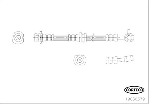 Corteco 19036379 Bremsschlauch vorne rechts | 19036379 Kompatibel mit Qashqai I (J10, NJ10)