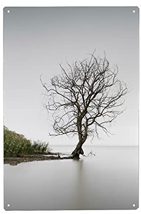artboxONE Metall-Poster 20x30 cm Natur Trasimeno Tree Umbrien von Künstler Ronny Behnert