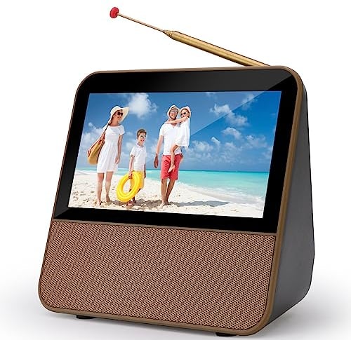 HassoKon TV digitale portatile DVB-T2, 1080P HD Mini TV DAB+, DSP, lettore multimediale USB per roulotte, auto e campeggio, cucina, camera da letto, viaggi, cucina