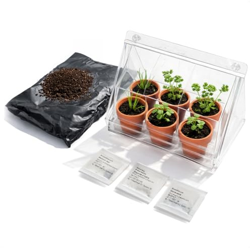 com-four® Mini Serra con 6 vasi in Terracotta, Semi e terriccio – Kit di Coltivazione per basilico, prezzemolo ed Erba cipollina – Serra da Interno (Kit di Coltivazione 10)