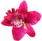 Diawell Orchidee Haarblume Haarclip Haarspange Blume Blüte Ansteckblume Haarschmuck