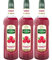 Lot de 3 sirops de Framboise Mathieu Teisseire, pour boissons, cocktails avec ou sans alcool, boissons gazeuses, smoothies, thés, milk-shakes, desserts, 3 bouteilles de 1L