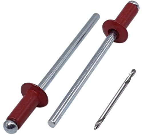 SKIR'CO Lot de 100 rivets aveugles peints 4,0 x 8 mm, rivets pop en aluminium, foret inclus (marron rouge RAL 3011)