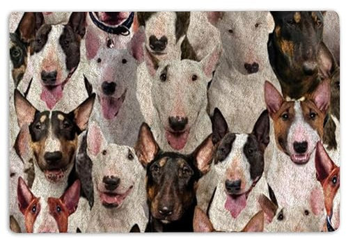 MIAOMANSENSTORE fußmatte innen außen fussmatte Bullterrier-Fußmatte, EIN Haufen Bullterrier-Hundemuster, Geschenke für Hundeliebhaber, willkommene Fußmatte deko Wohnzimmer