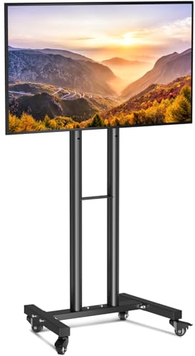 WHYFONE Supporto TV da Pavimento con Ruote per Schermi Plasma/LCD/LED 23-60 Pollici, Altezza Regolazione Mobile Porta TV da Terra, Carrello Staffa Porta Mobile Supporto TV fino a 40kg, VESA 400x400mm