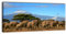 wandmotiv24 Leinwandbild Panorama Nr. 84 Kilimandscharo 100x40cm, Keilrahmenbild, Bild auf Leinwand, Berg Elefant Afrika